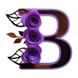 Topo de bolo letra inicial B